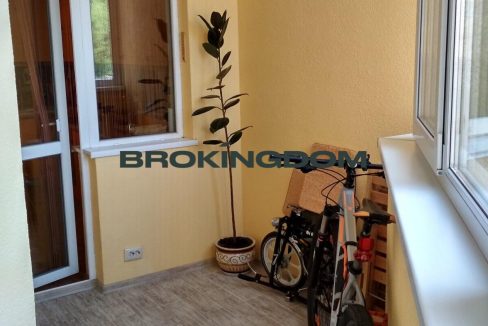 e086535ccbaba7fa16c33eea4d961900