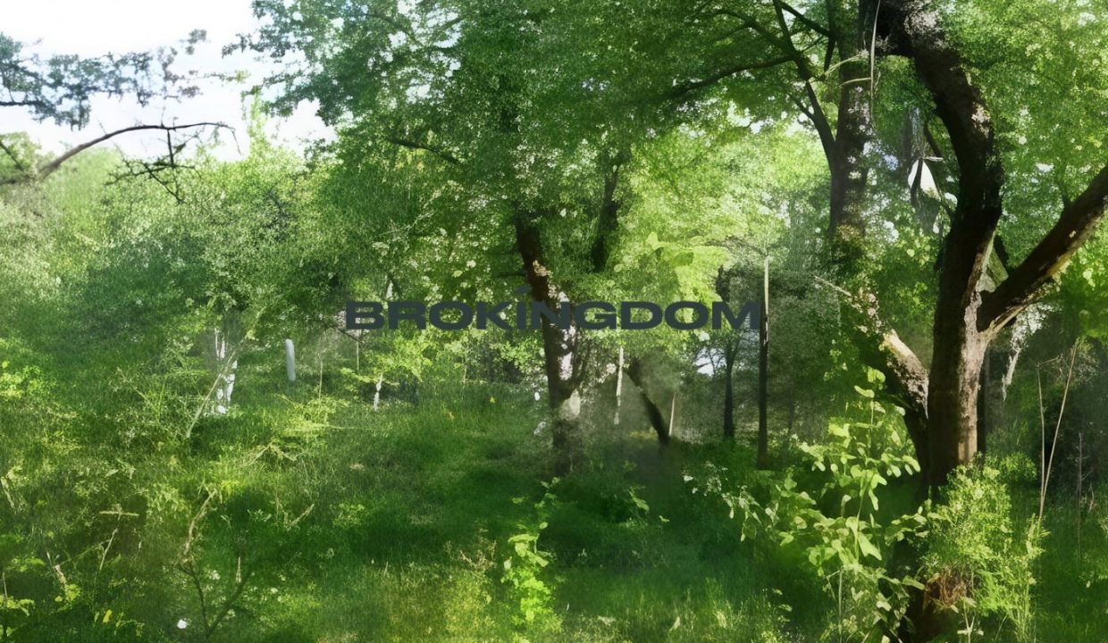 d39ba190ca9b090d09cd30869bb1eca4