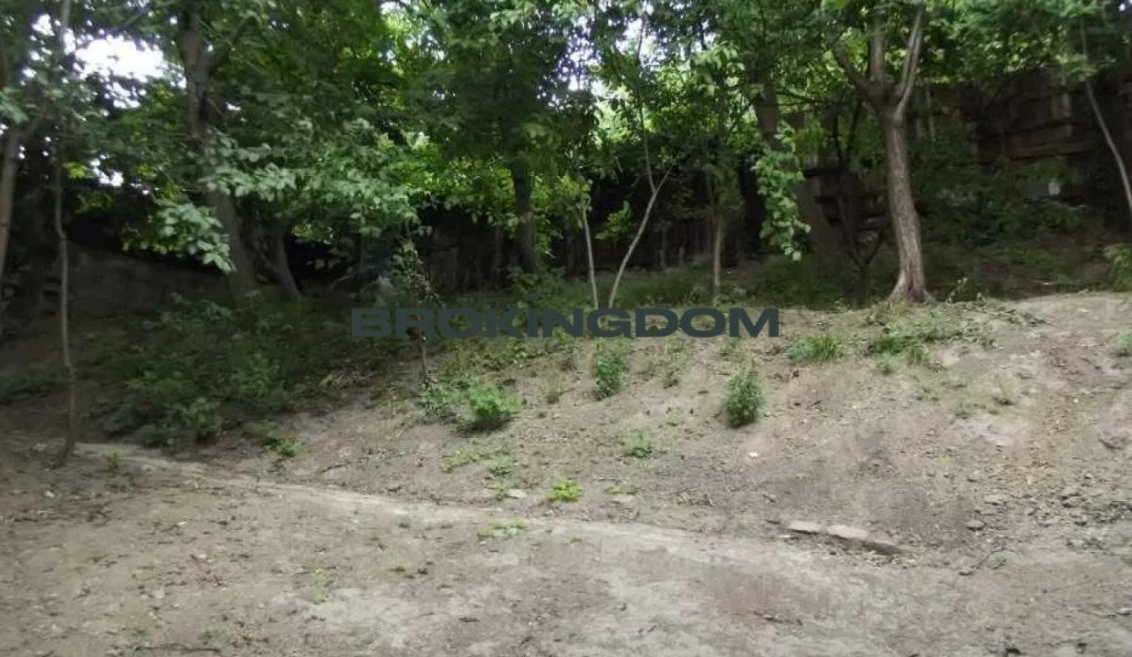 a4498e62242c632d1a13dcb2483b82f1