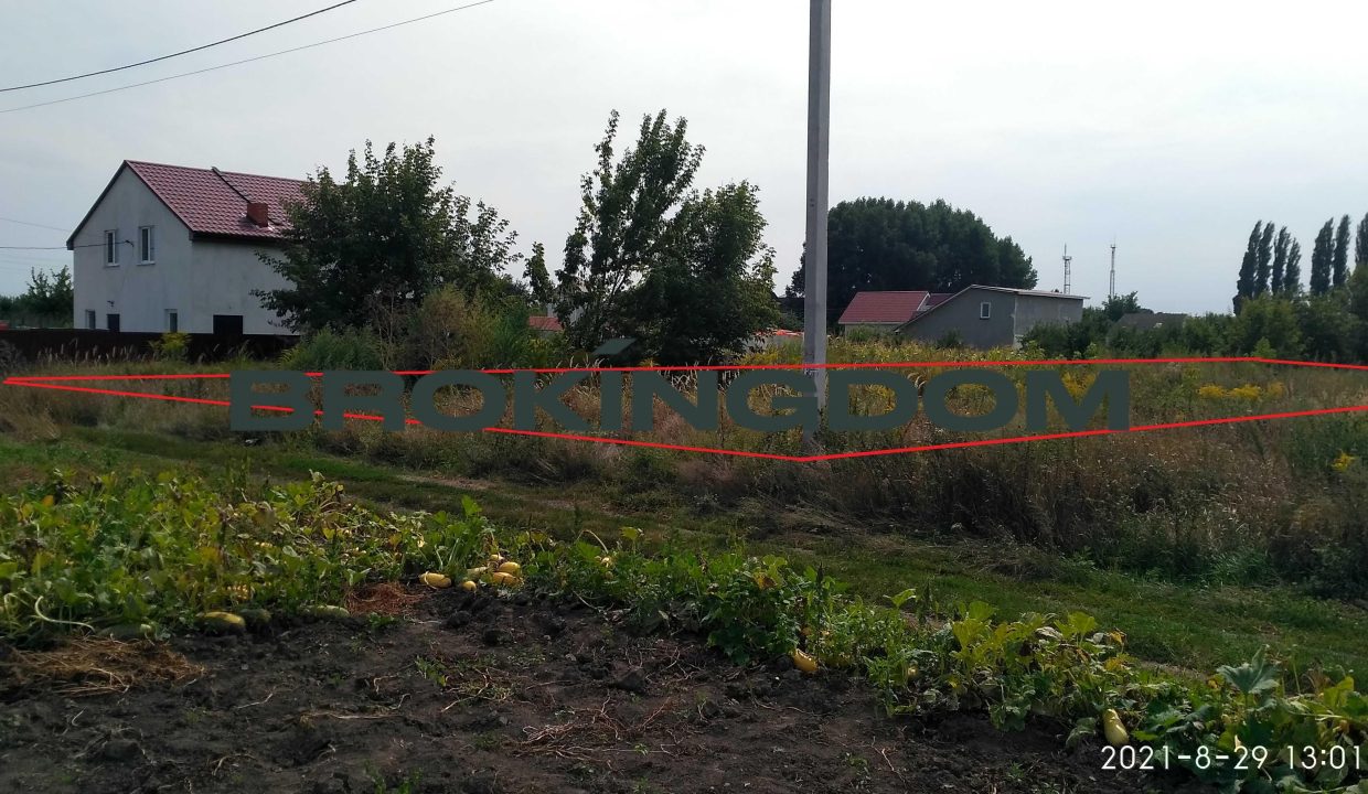 e427f8a31cf8fdcc1e7262a1085655ed