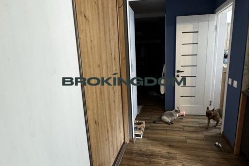 09d9adac6fb5cd0fe84157cb12886bed