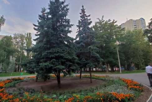 122fd2d68d9941db87ad212a0efbf48a