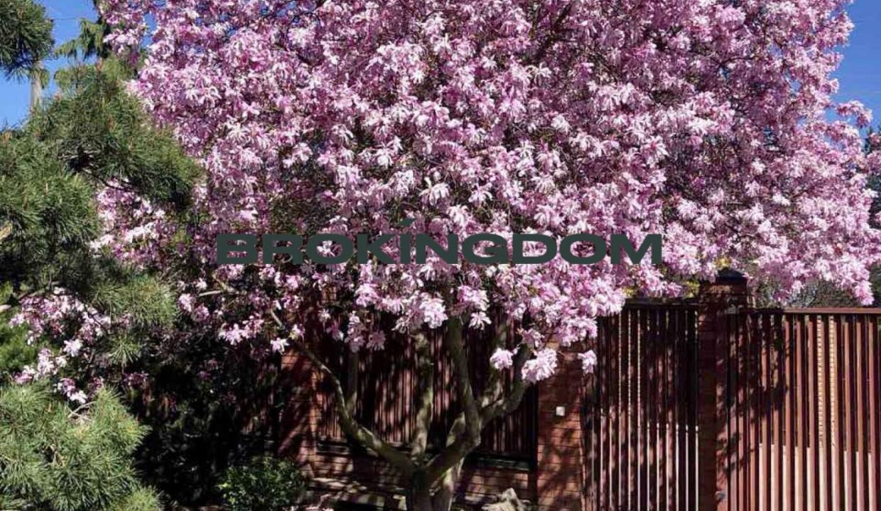 0f2b847e0d99b7f6f5c9693ed3236408