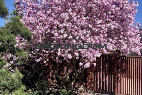 0f2b847e0d99b7f6f5c9693ed3236408