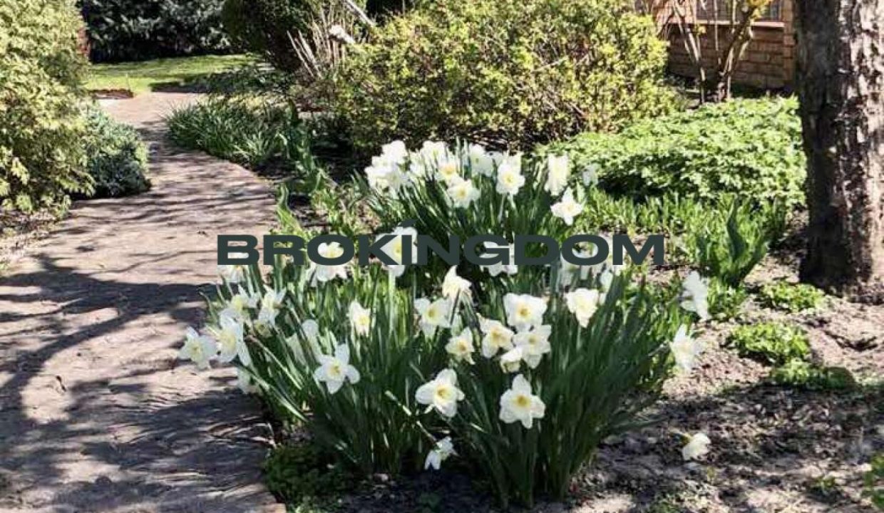 1459bed6d051b3524241ea9f4f52a0e1