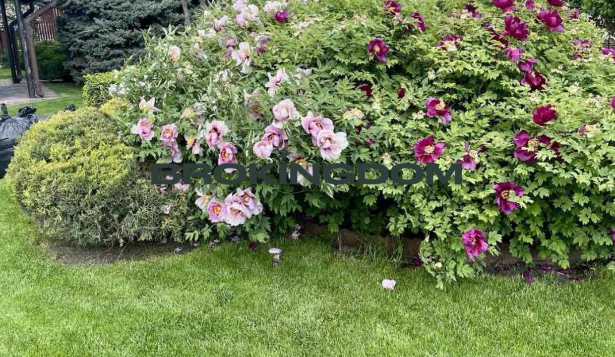 1d4a1f9fcddd413d6ca37140dae188e7