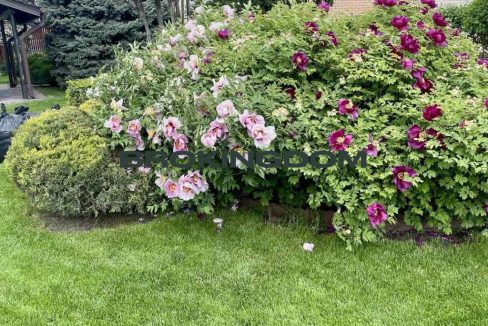 1d4a1f9fcddd413d6ca37140dae188e7