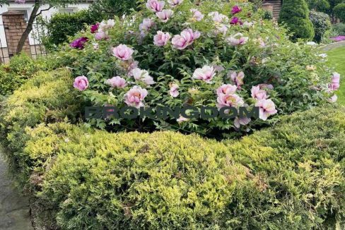 362b3831d3569ee03334fa0b8085d63d