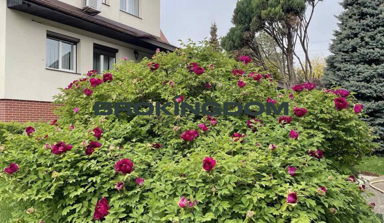 3d027fcaa00c1920d6ad64177b51b8e9