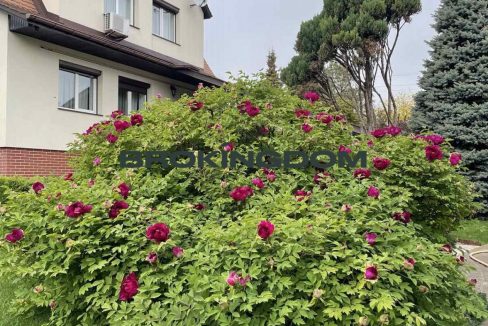 3d027fcaa00c1920d6ad64177b51b8e9