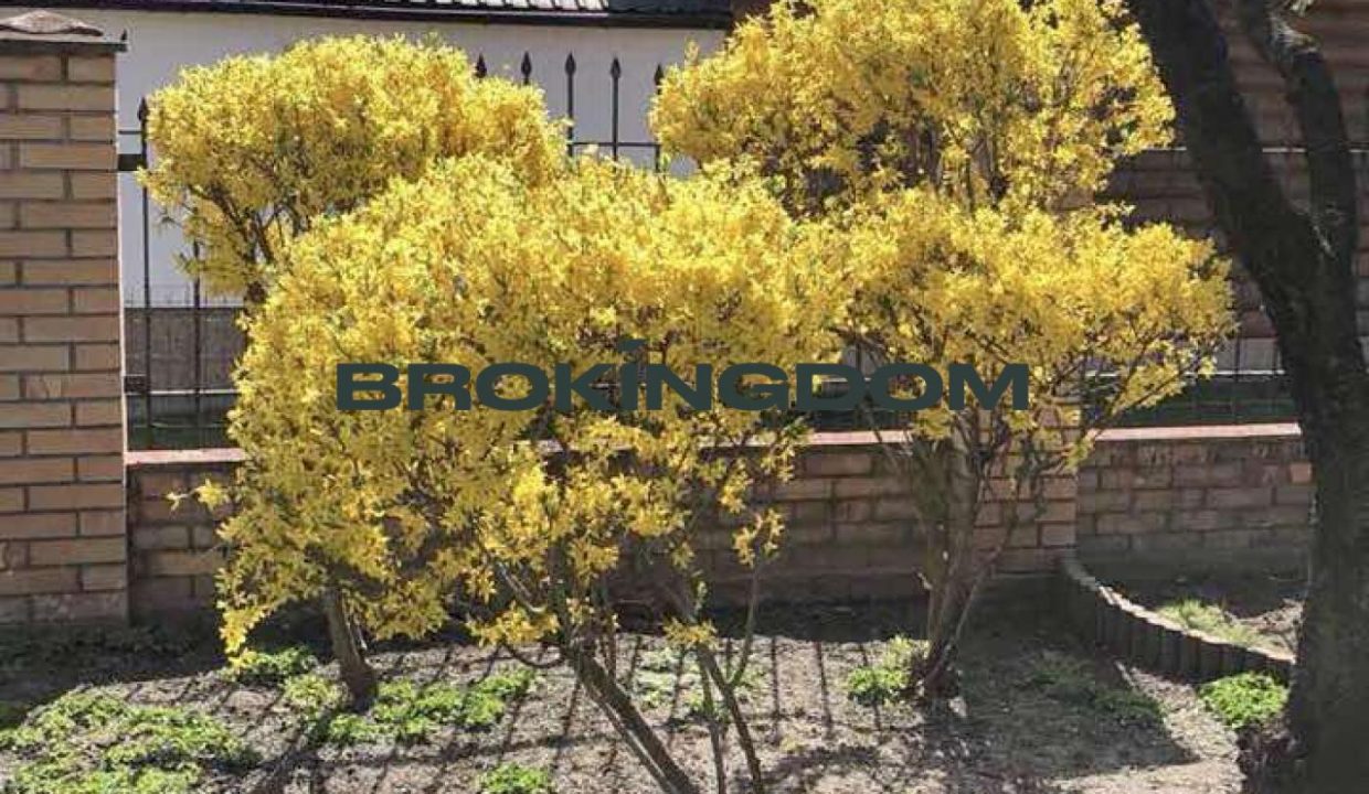 6e3e676b0fa5ff0879f23fb02d934036