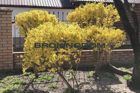 6e3e676b0fa5ff0879f23fb02d934036