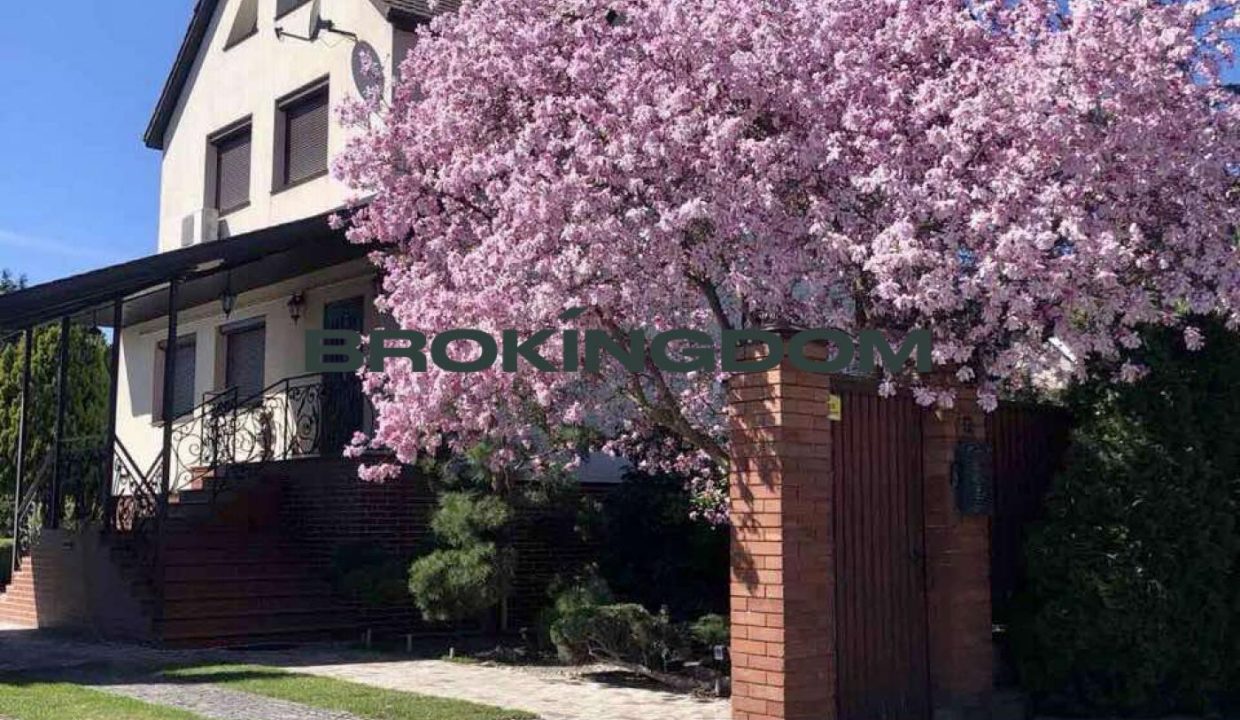 d58ce31bae55a6e1de5c2632053091d7