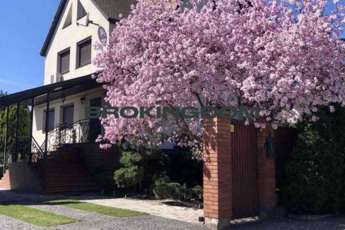 d58ce31bae55a6e1de5c2632053091d7